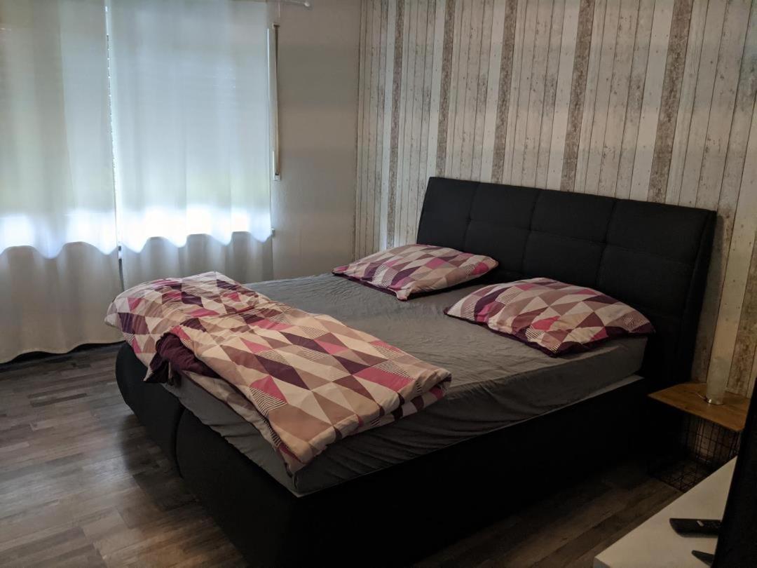 Apartment Neu! Wiesenallee Eg
